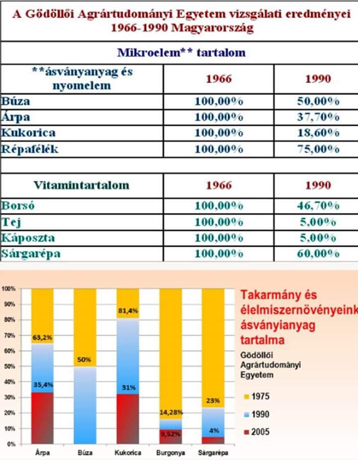 Mit eszünk??????